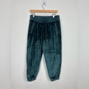 Athleta Double Cozy Karma Joggers Plush Fleece Sweatpants Green Size Medium